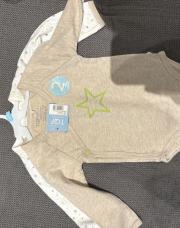 Ensemble body
