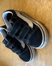 Vans p21