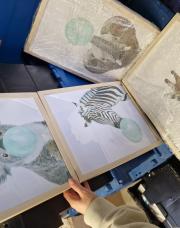 4 cadres décoratifs animaux