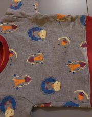 Pull noukies t6mois gris rouge dinosaures