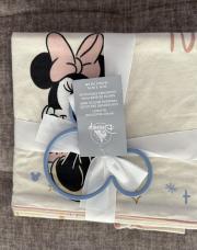 Couverture des 12 premiers mois de bébé Disney