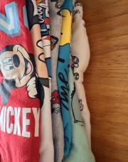 Lot 7 bodies Disney 24