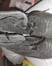 Botte cyprès 28