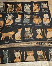 Écharpe 150CM sur 70CM dessin petit chat couleur no6