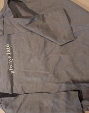 T qhirt L manches zara gris always late74