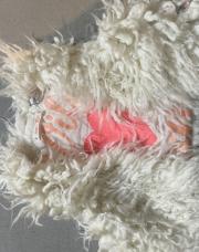 Veste sans manche mouton 3m