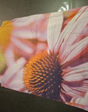 Robe rose avec fleur, JBC, taille 110