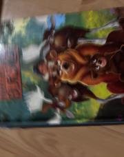 Livre Disney frère des ours 1