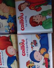 4 livres caillou 