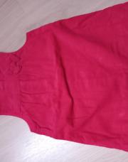 Grain de blé robe rouge 6 mois