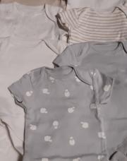 Lot de 7 body courte manche multicolor  T 50