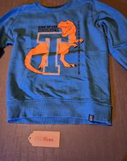 Pull Dinosaures 5/6 ans