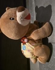 Ourson 1 2 3 suis-moi brun 