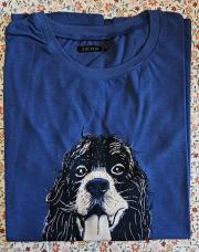 T-shirt bleu MC chien IKKS taille 14 ans