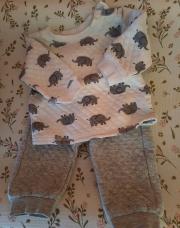 Jogging éléphant 68