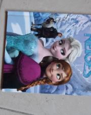 livre: reine des neiges