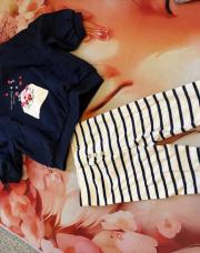 Ensemble marine+ pantalon ligne 9 mois