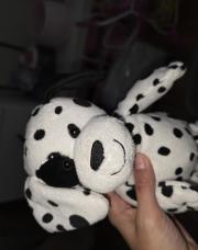 Peluche dalmatien