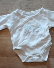 Body naissance moutons