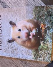 Livre hamster 