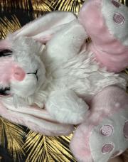 Peluche lapin 