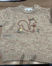 Pull écureuil 