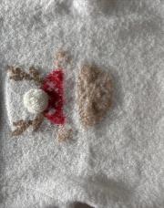 Pull reine de Noël Kiabi 1M