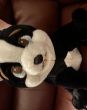 Peluche chat noir et blanc NEUF