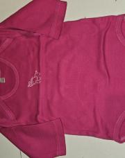 Bodie rose éléphant. 3 mois