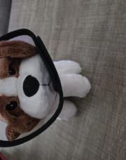 Peluche chien vétérinaire 
