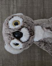 Peluche koala 