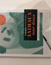 Lignes mystère à colorier 