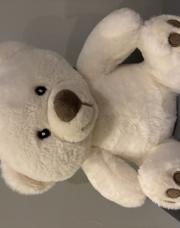 Ours en peluche 