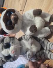 Lot de 2 chat TY 