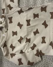 Pull plusieurs petit ours 