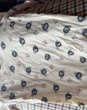 Body Chiens Orchestra 12M