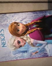 Livre la reine des neiges 