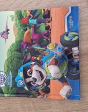 Livre pat patrouille 4+