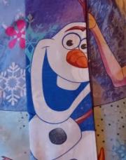 House de couette et taie La reine des neiges 1 personne