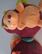 Hérisson Lilliputiens 