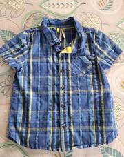 Chemise orchetsra bleu T18M