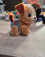 Chien pour marche a 4 pate