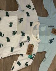 Lot 2 t shirts longues manches Dino 