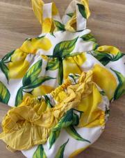 Ensemble citron 