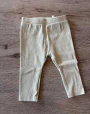 leggings T74