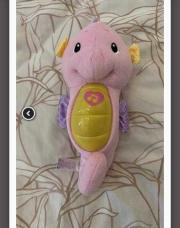 Hippocampe musical 