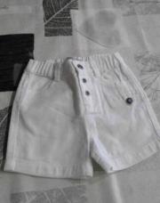 short blanc graine de ble 6mois