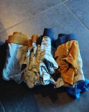 Lot 9 boxer tao 2 ans
