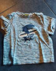 Ts Tao ligne requin 12 mois