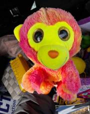 Singe multicolore 